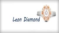 Leon Diamond image 2